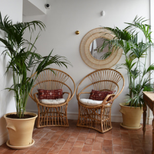 Decoración de sillas y plantas en e los pasillo del apartahotel