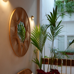 Decoración con espejo y plantas