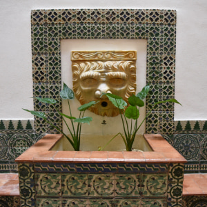 Stone fountain decorated with plants